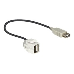 Delock - Modul - USB Type A 86329