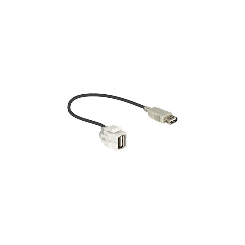 Delock - Modul - USB Type A 86329