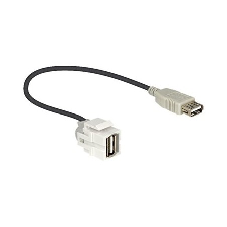 Delock - Modul - USB Type A 86329