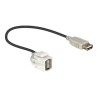 Delock - Modul - USB Type A 86329