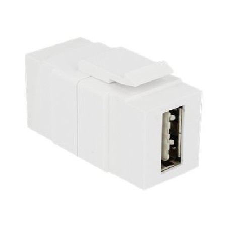 Delock Keystone module - USB adaptér - USB (F) do USB (F) - USB 2.0 - reverzibilní konektor A - bílá