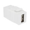 Delock Keystone module - USB adaptér - USB (F) do USB (F) - USB 2.0 - reverzibilní konektor A - bílá
