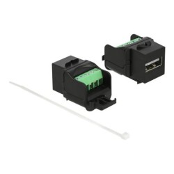 Delock - Modul - USB 2.0 Type A - cerná