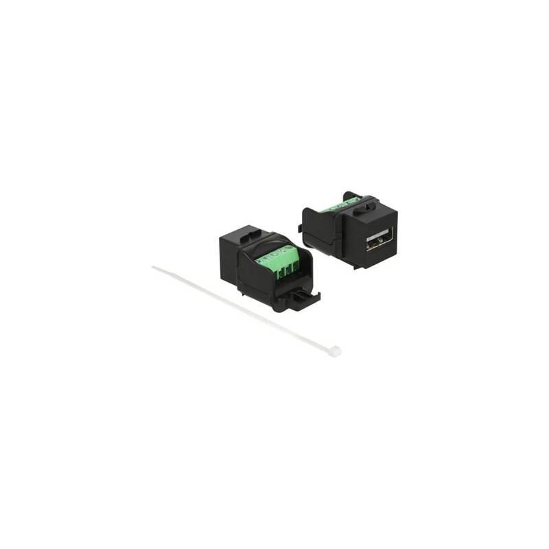 Delock - Modul - USB 2.0 Type A - cerná