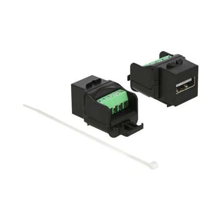 Delock - Modul - USB 2.0 Type A - cerná