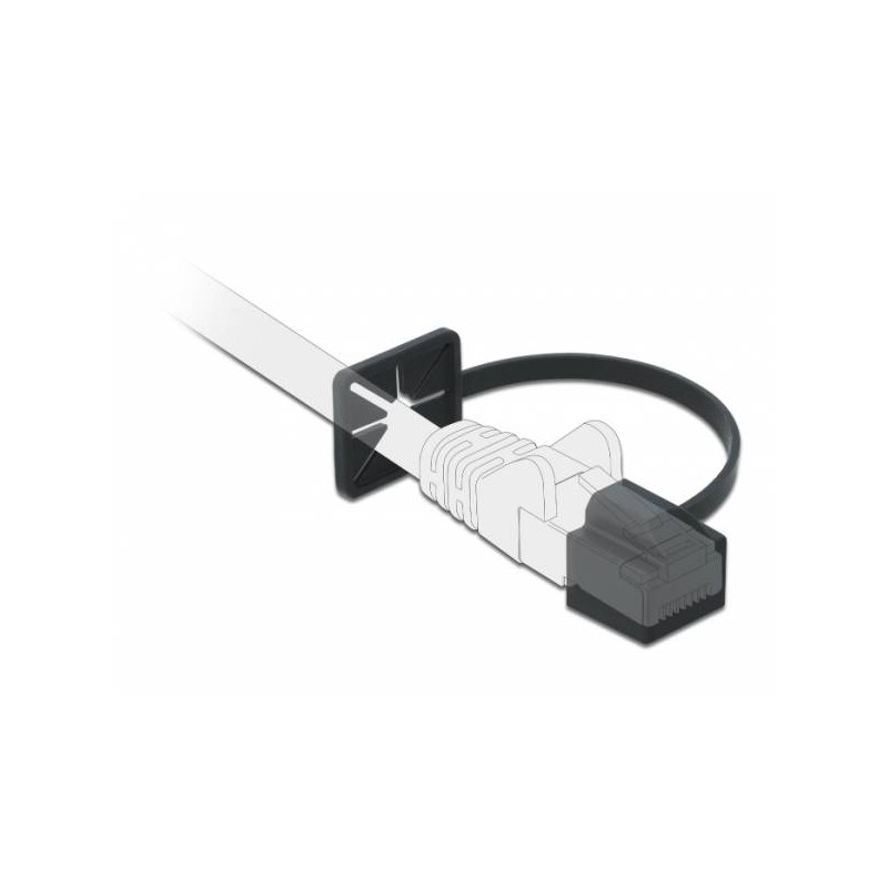 Delock Dust Cover for RJ45 - Krytka proti prachu - černá (balení 10) 86589