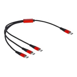 Delock - USB kabel - 24 pin USB-C (M) do 24 pin USB-C (M) - USB 2.0 - 5 V - 3 A - 30 cm - černá