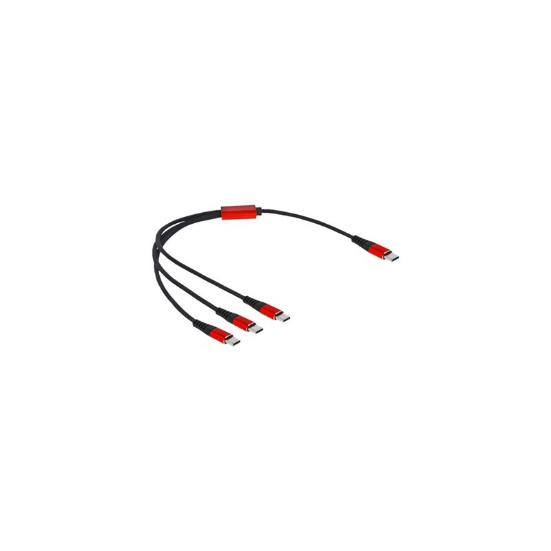 Delock - USB kabel - 24 pin USB-C (M) do 24 pin USB-C (M) - USB 2.0 - 5 V - 3 A - 30 cm - černá