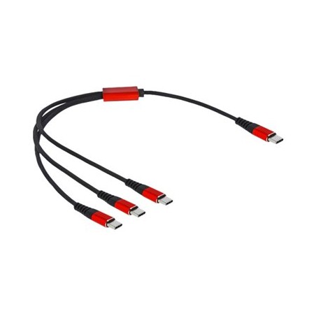 Delock - USB kabel - 24 pin USB-C (M) do 24 pin USB-C (M) - USB 2.0 - 5 V - 3 A - 30 cm - černá