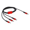 Delock - USB kabel - 24 pin USB-C (M) do 24 pin USB-C (M) - USB 2.0 - 5 V - 3 A - 1 m - černá/červená