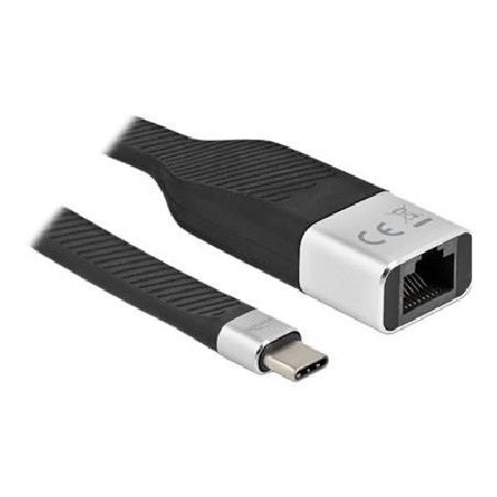 Delock - Síťový adaptér - USB-C 3.2 Gen 1 - Gigabit Ethernet - černá, stříbrná