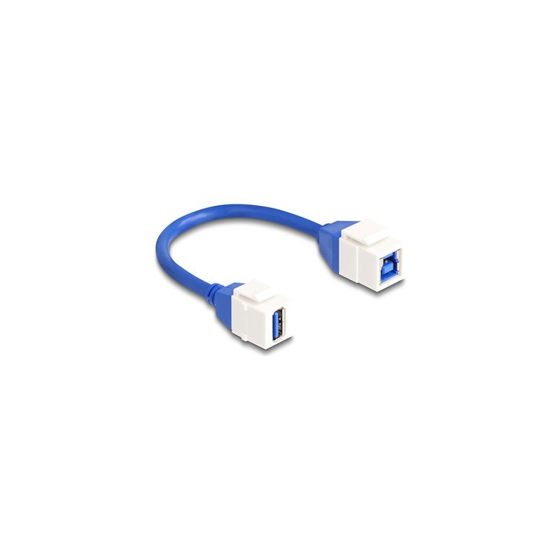 Delock - Kabel USB - USB typ A (F) keystone do USB Type B (F) keystone - 20 cm - up to 5 Gbps data transfer rate - bílá/modrá