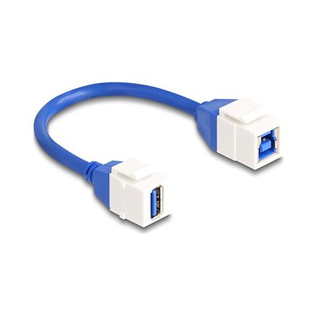 Delock - Kabel USB - USB typ A (F) keystone do USB Type B (F) keystone - 20 cm - up to 5 Gbps data transfer rate - bílá/modrá