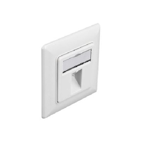 Delock - Zásuvka Keystone Socket - s popisovacím oknem - úhlový - 1 modul - čistě bílá, RAL 9010
