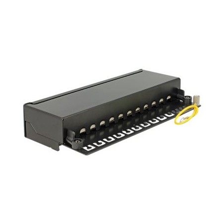 Delock - Propojovací panel - CAT 6 - RJ-45 X 12 - hluboce černá, RAL 9005