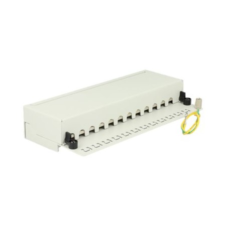 Delock - Propojovací panel - CAT 6 - RJ-45 X 12 - světle šedá, RAL 7035