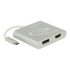 Delock - Externí video adaptér - USB-C - HDMI, DisplayPort - stříbrná - maloobchod