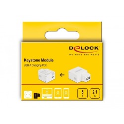 Delock - Síťový adaptér - 10.5 Watt - 2.1 A (USB) - bílá