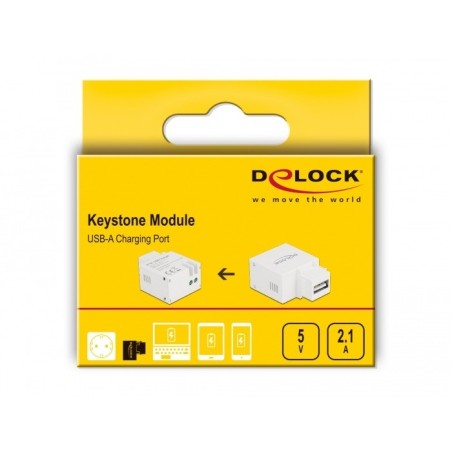 Delock - Síťový adaptér - 10.5 Watt - 2.1 A (USB) - bílá