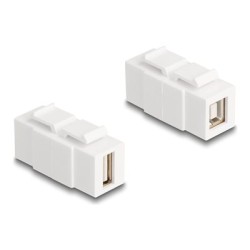 Delock - Modulární vložka (spojka) - žena na ženu, lze nainstalovat na obe strany - USB 2.0 Type A, USB 2.0 Type B - bílá