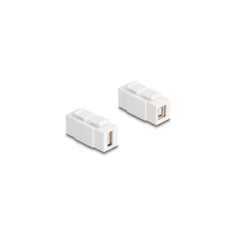 Delock - Modulární vložka (spojka) - žena na ženu, lze nainstalovat na obe strany - USB 2.0 Type A, USB 2.0 Type B - bílá