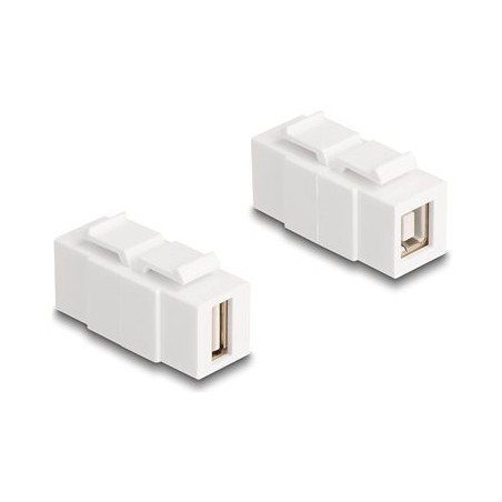 Delock - Modulární vložka (spojka) - žena na ženu, lze nainstalovat na obe strany - USB 2.0 Type A, USB 2.0 Type B - bílá