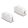 Delock - Modulární vložka (spojka) - žena na ženu, lze nainstalovat na obe strany - USB 2.0 Type A, USB 2.0 Type B - bílá