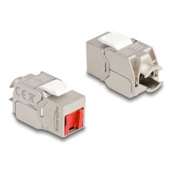 Delock - Modul keystone - RJ-45 (F) do LSA (F) úhel - STP - CAT 6a - bílá, stríbrná, cervená