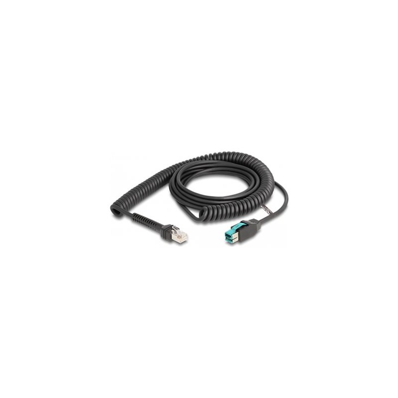 Delock - USB kabel - USB PlusPower (M) do RJ-50 (M) - USB 2.0 - 12 V - 3 m - svinutý - cerná