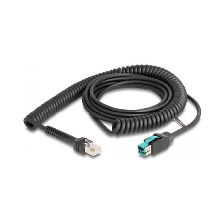 Delock - USB kabel - USB PlusPower (M) do RJ-50 (M) - USB 2.0 - 12 V - 3 m - svinutý - cerná
