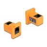 Delock D-Type Module - Modul - úhel 90° - montáž na panel - RJ-45 - oranžová