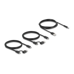 Delock - USB spínac - 5 Gbps, 4 x device and 2 x host - 4 x USB 3.1 Gen 1 - desktop