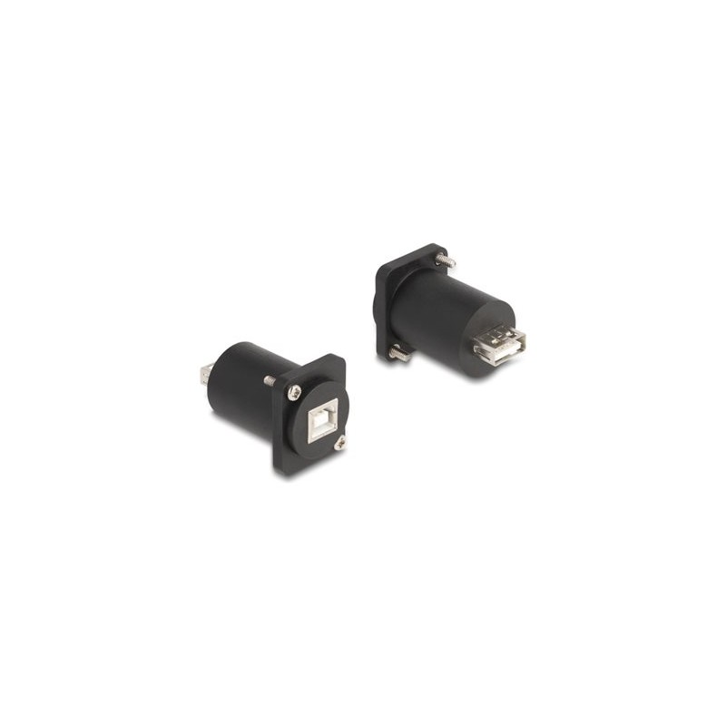 Delock - USB adaptér - USB (F) typ D do USB typ B (F) typ D - cerná