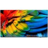 75" HTV Philips 75HFL6214U - Business TV