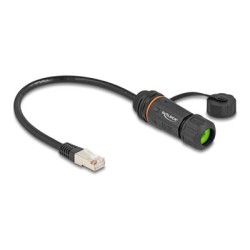 Delock - Sítový prodlužovací kabel - RJ-45 (M) do RJ-45 (F) - 25 cm - 6 mm - STP - CAT 6a - tesnicí krytka, závit M20, odolnost