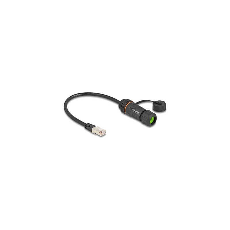 Delock - Sítový prodlužovací kabel - RJ-45 (M) do RJ-45 (F) - 25 cm - 6 mm - STP - CAT 6a - tesnicí krytka, závit M20, odolnost