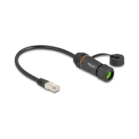 Delock - Sítový prodlužovací kabel - RJ-45 (M) do RJ-45 (F) - 25 cm - 6 mm - STP - CAT 6a - tesnicí krytka, závit M20, odolnost