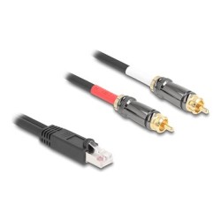Delock - Audio adaptér - RJ-45 s piny (male) do RCA s piny (male) - 2 m - cerná