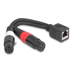 Delock - Audio kabel - XLR3 se zdírkami (female) do RJ-45 se zdírkami (female) - 20 cm - cerná
