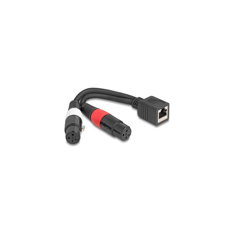 Delock - Audio kabel - XLR3 se zdírkami (female) do RJ-45 se zdírkami (female) - 20 cm - cerná