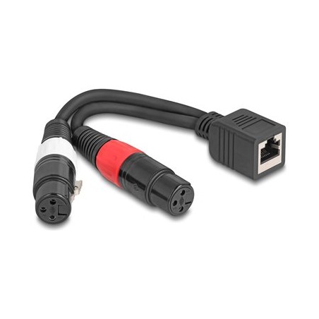 Delock - Audio kabel - XLR3 se zdírkami (female) do RJ-45 se zdírkami (female) - 20 cm - cerná