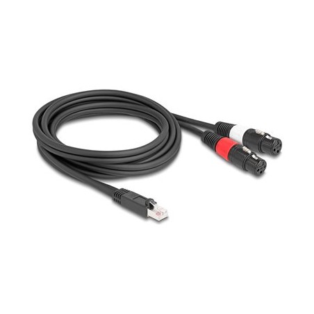 Delock - DMX kabel - RJ-45 s piny (male) do XLR3 se zdírkami (female) - 2 m - cerná