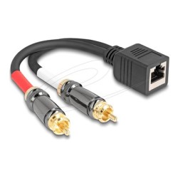 Delock - Audio adaptér - RCA s piny (male) do RJ-45 se zdírkami (female) - 20 cm - cerná
