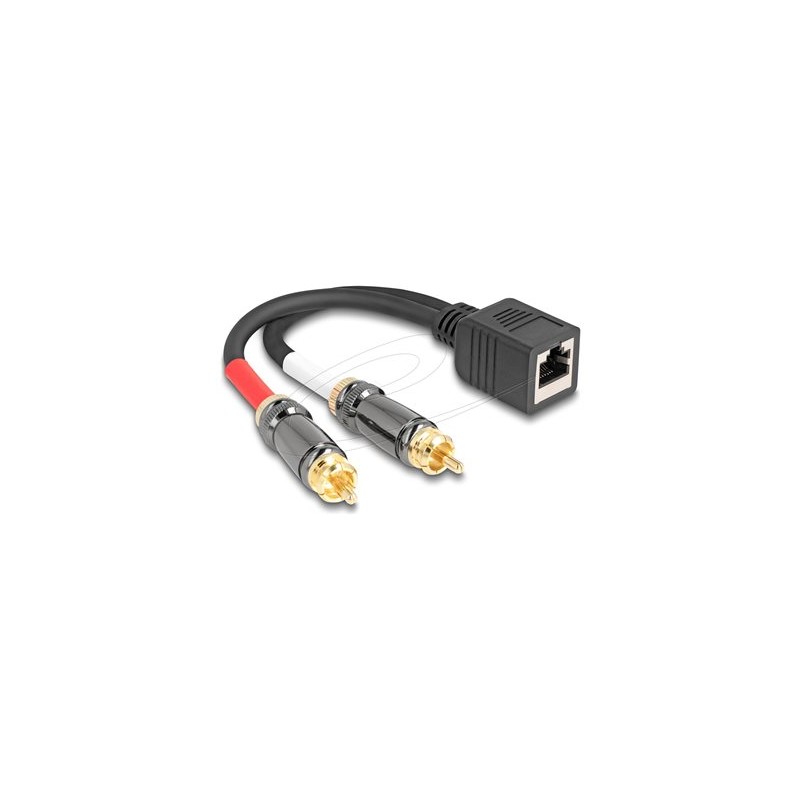 Delock - Audio adaptér - RCA s piny (male) do RJ-45 se zdírkami (female) - 20 cm - cerná