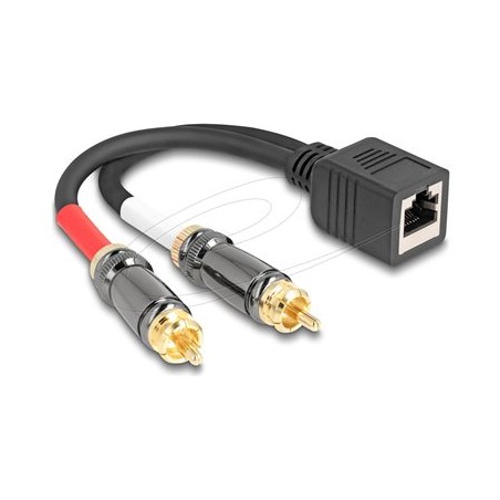 Delock - Audio adaptér - RCA s piny (male) do RJ-45 se zdírkami (female) - 20 cm - cerná