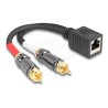Delock - Audio adaptér - RCA s piny (male) do RJ-45 se zdírkami (female) - 20 cm - cerná