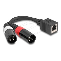 Delock - Audio adaptér - XLR3 s piny (male) do RJ-45 se zdírkami (female) - 20 cm - cerná