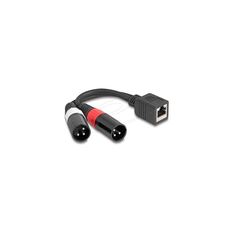 Delock - Audio adaptér - XLR3 s piny (male) do RJ-45 se zdírkami (female) - 20 cm - cerná