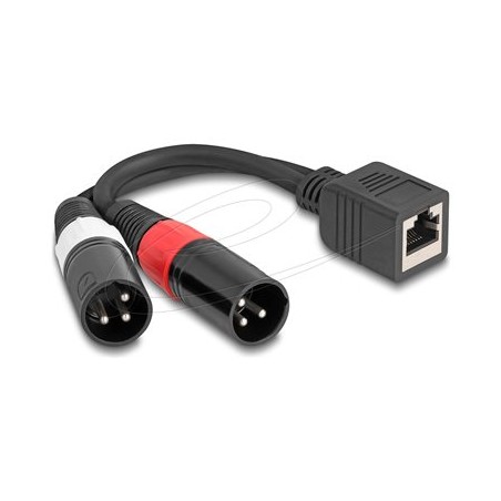 Delock - Audio adaptér - XLR3 s piny (male) do RJ-45 se zdírkami (female) - 20 cm - cerná