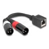 Delock - Audio adaptér - XLR3 s piny (male) do RJ-45 se zdírkami (female) - 20 cm - cerná